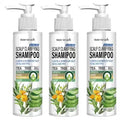 Water Ice Levin Sulfate-Free Scalp Clarifying Shampoo with Tea Tree Oil & Aloe – Hydrates Dry Scalp, Shines for All Hair Types