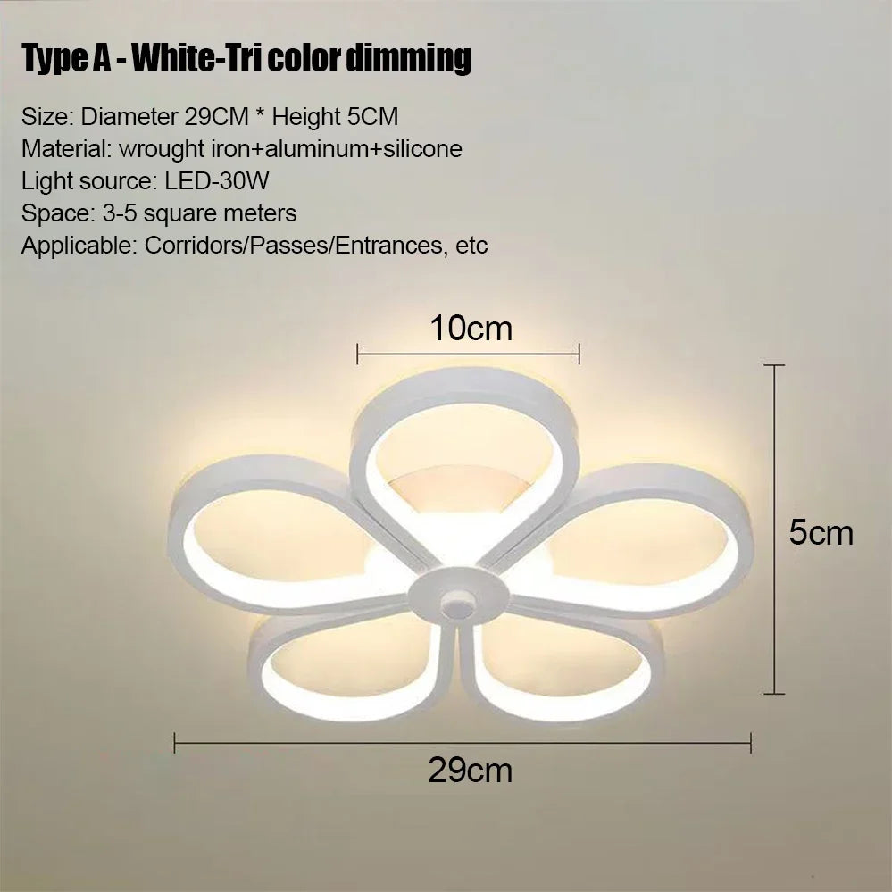 LED Strip Aisle Ceiling Lights Modern Minimalist Living Room Lamps For Balcony Entrance Staircase Home Decor Multiple shapes